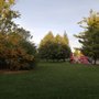 Promenade Green Park