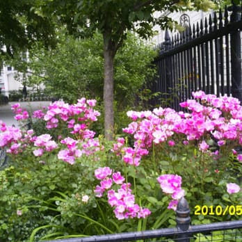 Stuyvesant Square - Dog Parks Near Me - New York, New York