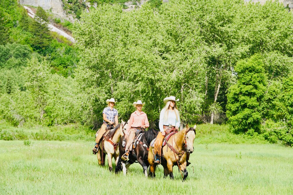 Utah Premier Horseback Riding - equestrian in Sundance, UT