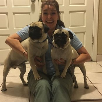 Heeling Hounds Dog Training - Pet Training Near Me Heeling Hounds Dog Training - Pet Training Near Me