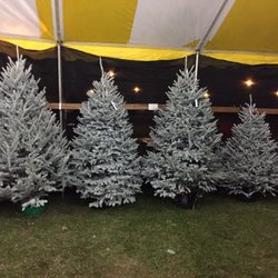 Mikes Christmas Trees