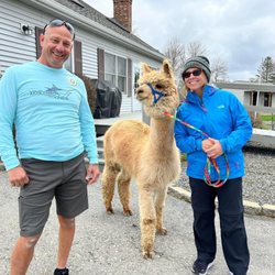 Northern Solstice Alpaca Farm