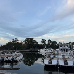 Top Dawg Tavern & Pizzeria