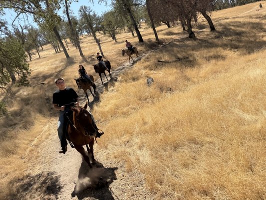 4 Horse Ranch by null