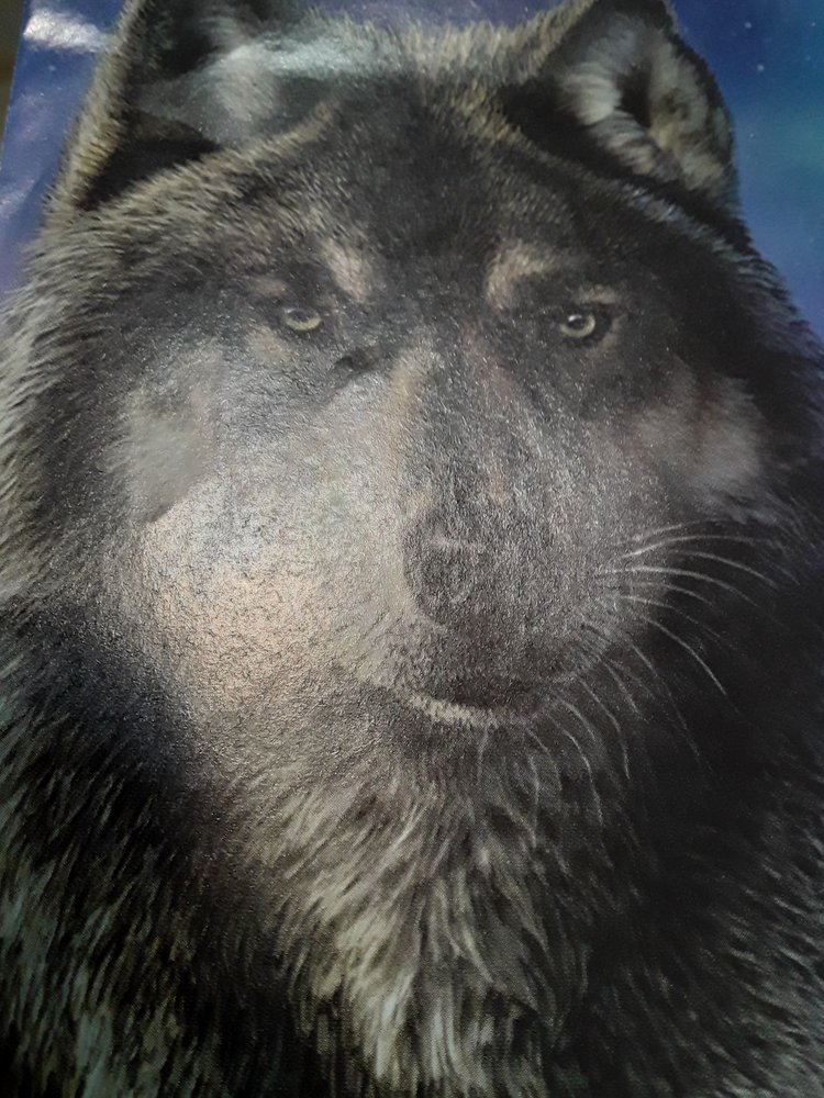 BRADFORD EXCHANGE Updated October 2024 9333 N Milwaukee Ave, Niles