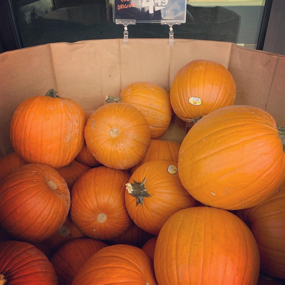 Orange pumpkins Orange pumpkins