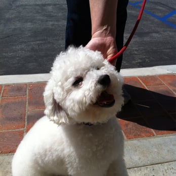 Go Go Spa - Pet Groomers Near Me - Rosemead, California Go Go Spa - Pet Groomers Near Me - Rosemead, California