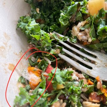 sweetgreen - Healthy Salads, Wraps, and Bowls - Random piece of plastic wrap in my Harvest Bowl. - Salad Near Me - Walnut Creek, California sweetgreen - Healthy Salads, Wraps, and Bowls - Random piece of plastic wrap in my Harvest Bowl. - Salad Near Me - Walnut Creek, California