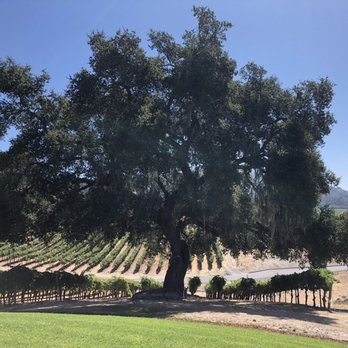 Robert Young Estate Winery - Wineries Near Me - Geyserville, California Robert Young Estate Winery - Wineries Near Me - Geyserville, California