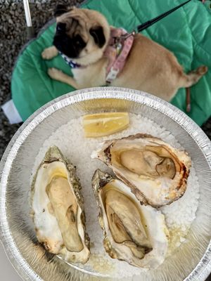 Buck Bay Shellfish Farm by null