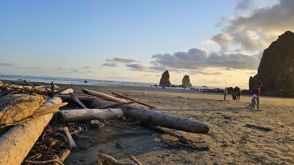 Haystack Rock by null