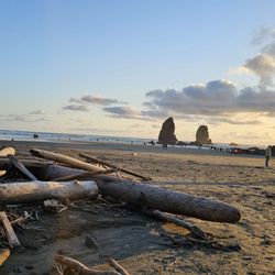 Haystack Rock - Beach