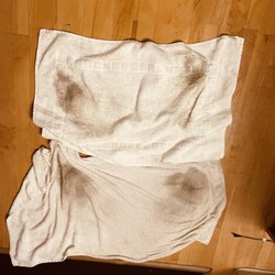 Studio 6 - I cleaned the floor
