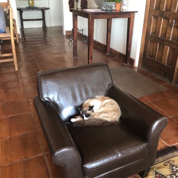 Croad Vineyards - Brix the wine cat - Wineries Near Me - Paso Robles, California