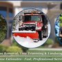 Photo of Markovski Landscaping & Tree Service