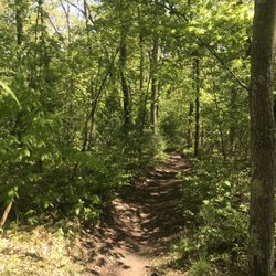 Franklin State Forest - Trail