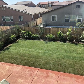 Sago Rey Palms - Nurseries & Gardening Near Me - Fresno, California
