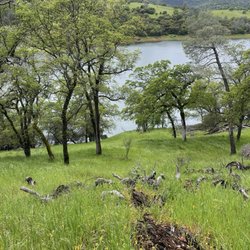 New Melones Reservoir