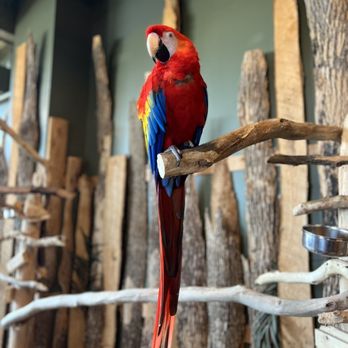 Bird Kingdom - Zoos Near Me - Niagara Falls, Ontario