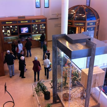 EcoTarium - Playing Together: Games Exhibit - 2012 - Museums Near Me - Worcester, Massachusetts