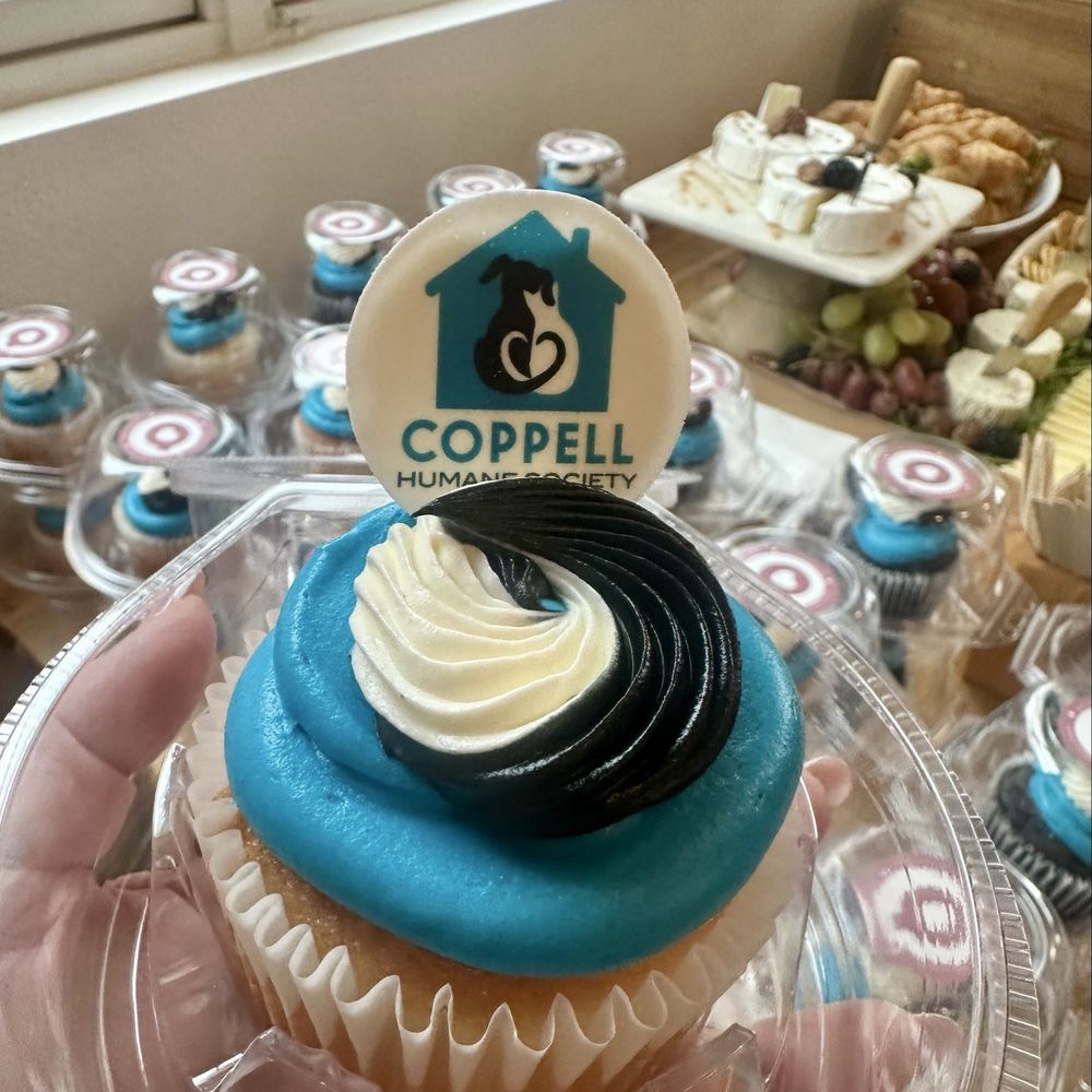 Arsty Cakery - LOVE that they give back to the community. Fabulous job on Coppell Humane Society cupcakes for their ribbon cutting event. - Bakeries Near Me - Coppell, Texas