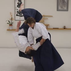 Aikido Northshore - Lee Crawford, 6th Dan, Chief Instructor