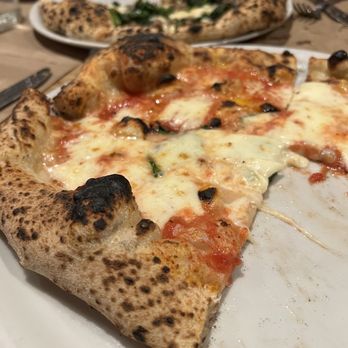 Ribalta - Margherita Rossa and Ribalta Pizza Bianche - Pizza Near Me - New York, New York Ribalta - Margherita Rossa and Ribalta Pizza Bianche - Pizza Near Me - New York, New York