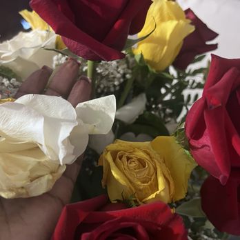 Flowers Galore - Petals dropped after touching them - Florists Near Me - Fort Lauderdale, Florida Flowers Galore - Petals dropped after touching them - Florists Near Me - Fort Lauderdale, Florida