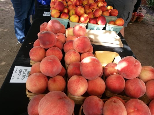 Easton Farmers' Market by null