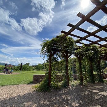 Chrysalis Vineyards - The vineyard - Wine Tasting Room Near Me - Middleburg, Virginia Chrysalis Vineyards - The vineyard - Wine Tasting Room Near Me - Middleburg, Virginia
