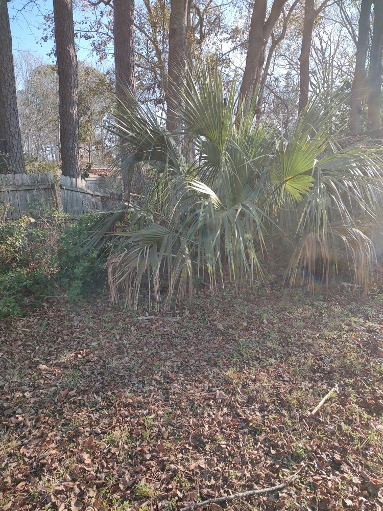 Slide of Ryan's Handyman Service