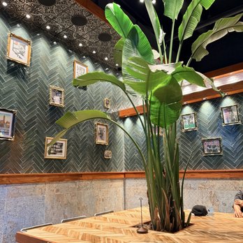 Rreal Tacos - Beltline - Mexican Near Me - Atlanta, Georgia Rreal Tacos - Beltline - Mexican Near Me - Atlanta, Georgia