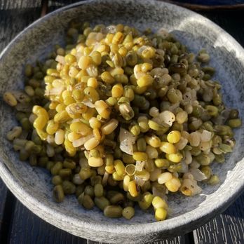 Lila Restaurant - Sprouted Mung Bean Salad (vegan) - Indian Near Me - Vancouver, British Columbia Lila Restaurant - Sprouted Mung Bean Salad (vegan) - Indian Near Me - Vancouver, British Columbia