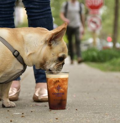 Compass Coffee by null