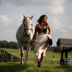 Andy Martin Photography