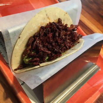 Oyamel - Chapulines, a.k.a Grasshopper Tacos! - Mexican Near Me - Washington, DC, District of Columbia