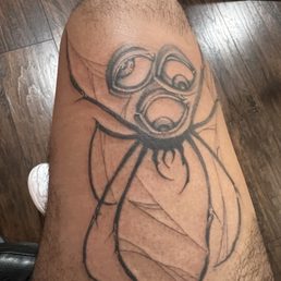cool spider cool spider