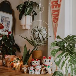 Jungle Cat Plant Shop