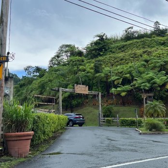 Calichi Gastrobar - Gastropubs Near Me - Naranjito, Puerto Rico