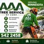 AAA Tree Service