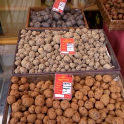 Gold Gourmet - Papas