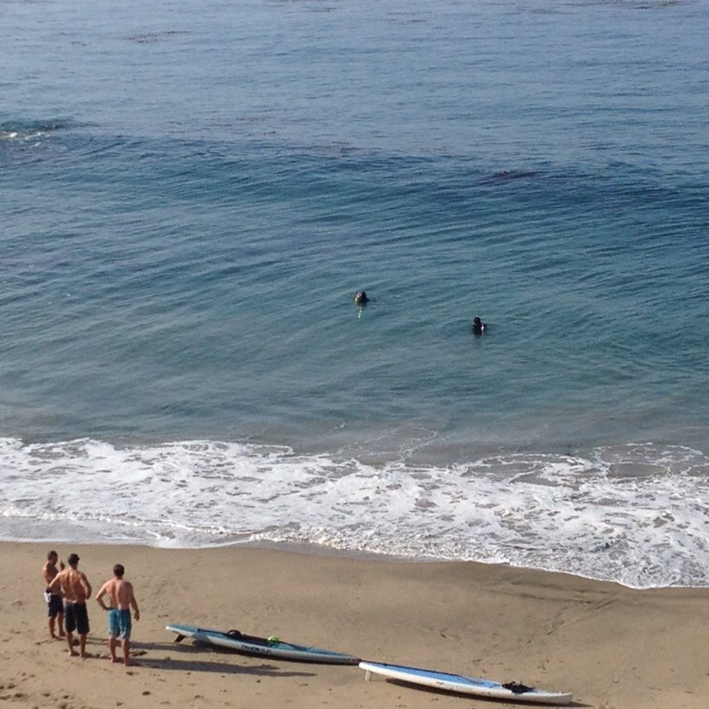 Divers Cove - Our instructor out there with a student - Scuba Diving Near Me - Laguna Beach, California