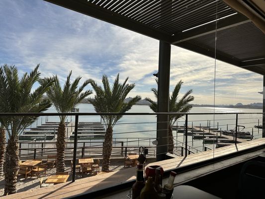 Turtle Grille by null