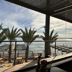 The Turtle Grille