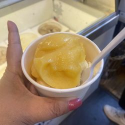 The Gourmet Market on Front - Mango and peach ice cream