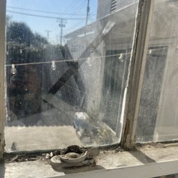 No one bothered to dust or touch the windows