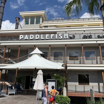 Paddlefish - Seafood Near Me - Orlando, Florida Paddlefish - Seafood Near Me - Orlando, Florida