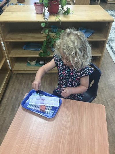 Montessori Educational Center - childcare center in Omaha, NE