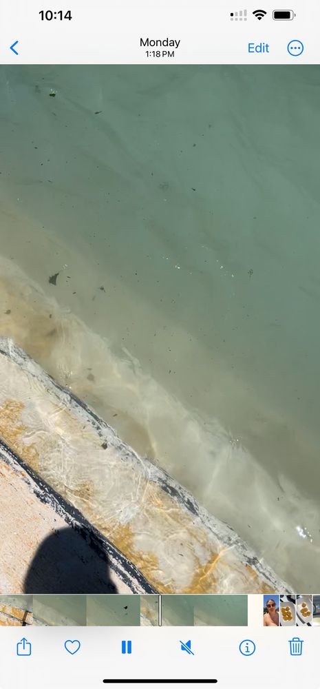 Lubbock Water Rampage, Lubbock | Roadtrippers