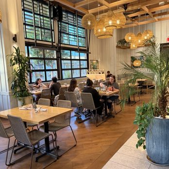 Pacific Catch - Seafood Near Me - Sunnyvale, California Pacific Catch - Seafood Near Me - Sunnyvale, California